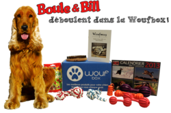 Les coffrets pour chien Woufbox font une box spéciale Boule et Bill